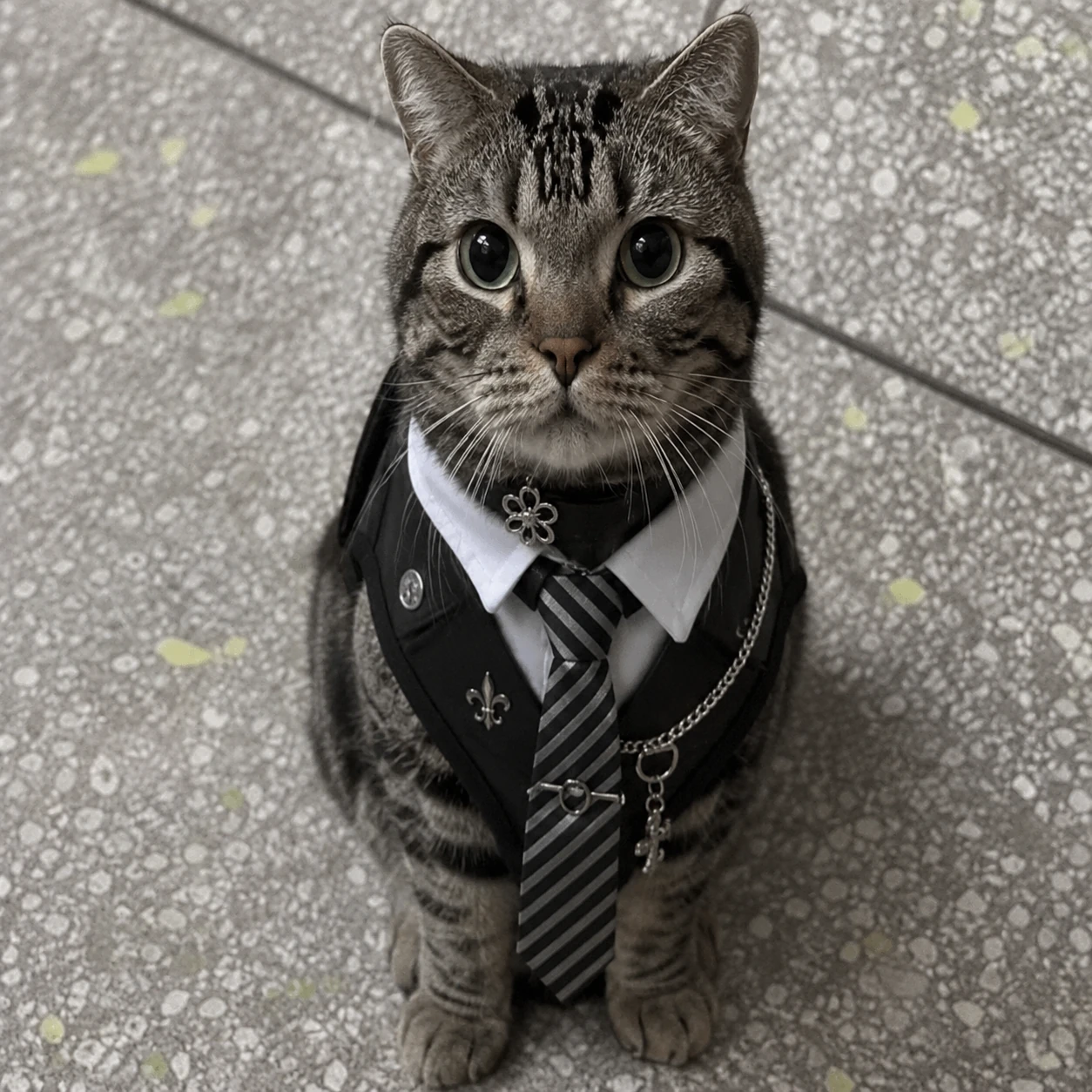 Tie cat